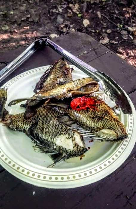 rak (456x700, 361Kb)