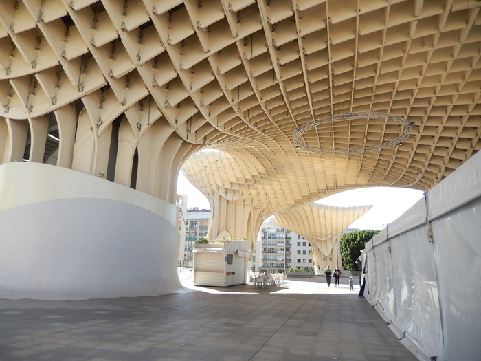 5322303_DSCN7138 (700x525, 184Kb)