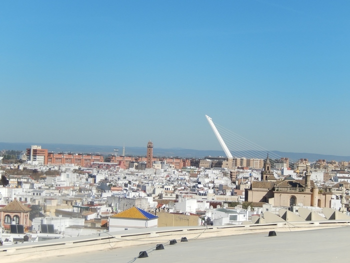 5322303_DSCN7146 (700x525, 145Kb)