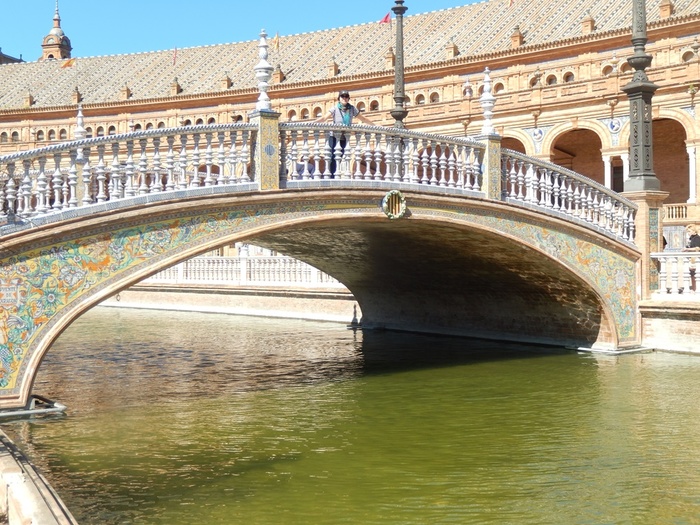 5322303_DSCN7211 (700x525, 196Kb)