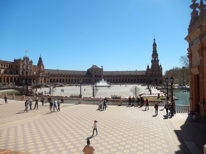 5322303_DSCN7218 (700x525, 177Kb)