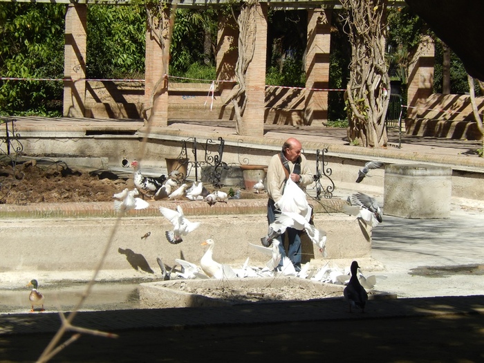 5322303_DSCN7239 (700x525, 207Kb)