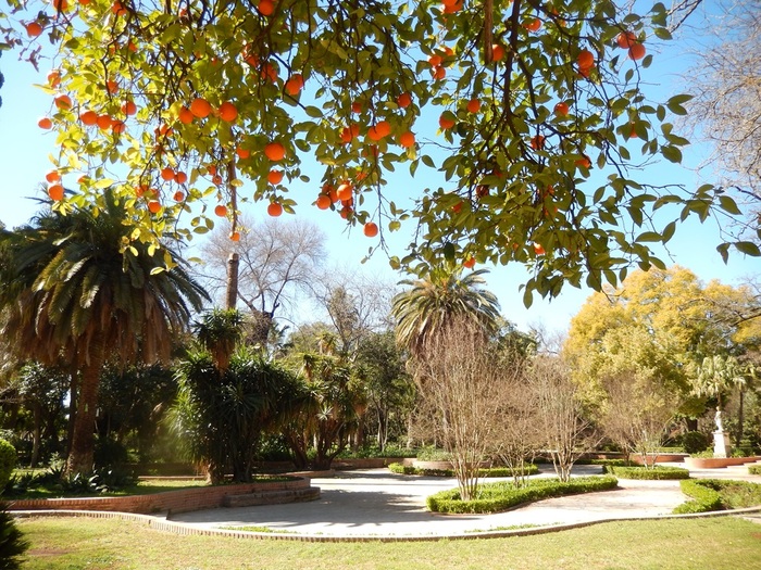 5322303_DSCN7251 (700x525, 233Kb)