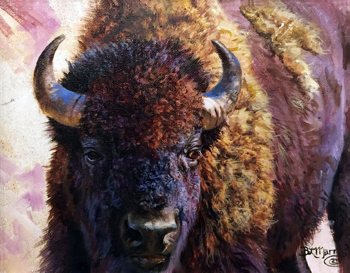Buffalo Bull (700x544, 492Kb)