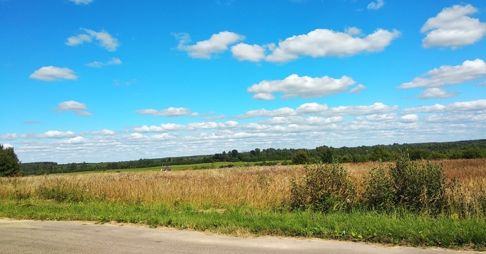 4331300_IMG_20200822_123335 (700x366, 210Kb)