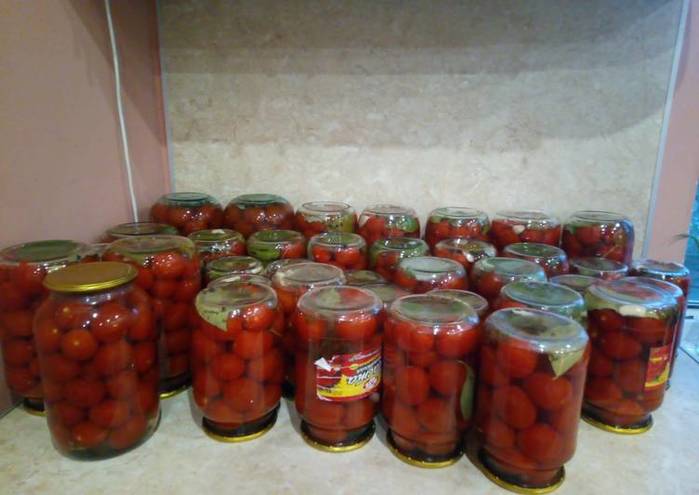 pomidory-na-zimu-sol-i-sakhar-srazu-v-banku--- (700x495, 37Kb)