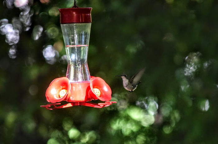 pt3 (700x465, 277Kb)