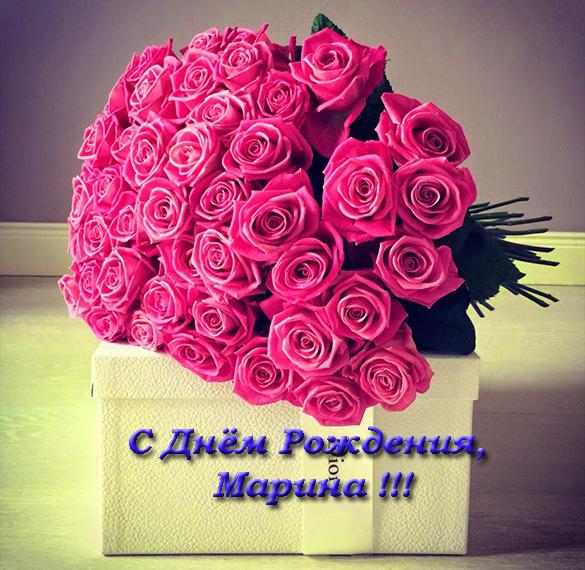 МАРИНЕ-ДР (585x570, 70Kb)