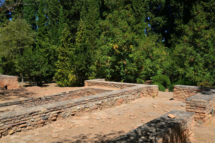 DSC_4286 (700x467, 183Kb)