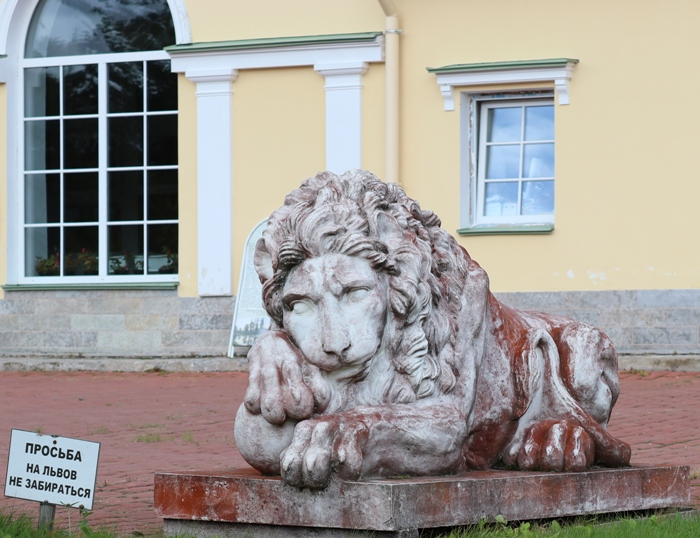 IMG_7290 (700x538, 382Kb)