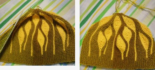 hat2g (537x242, 145Kb)