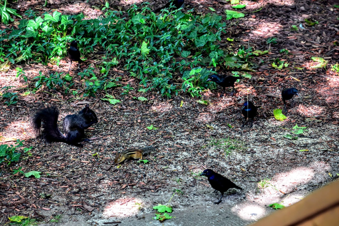 ыу (700x466, 573Kb)