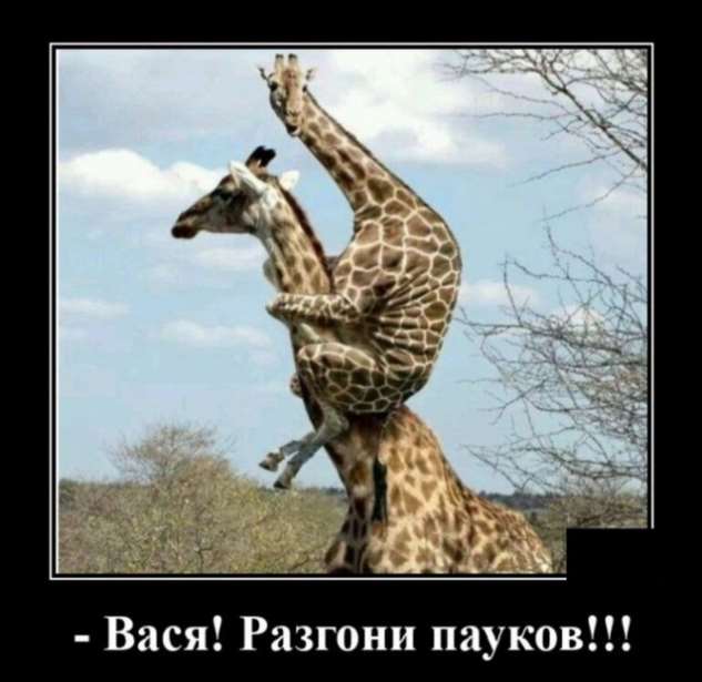 5402287_zabavatutza60725011109202015 (633x615, 36Kb)