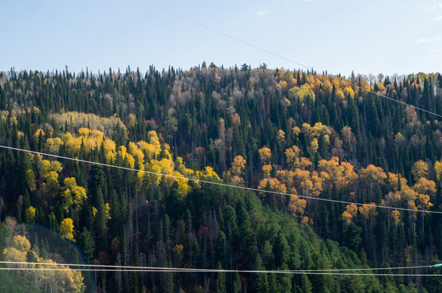 DSC03750 (640x425, 387Kb)