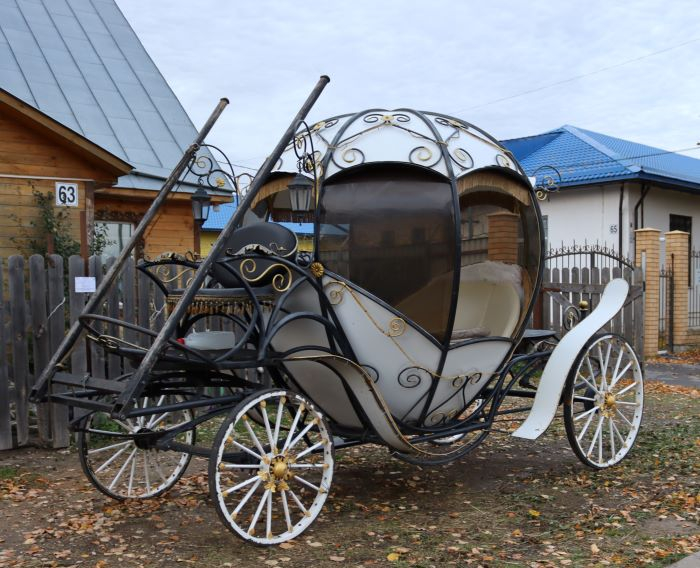 IMG_8945 (700x568, 294Kb)