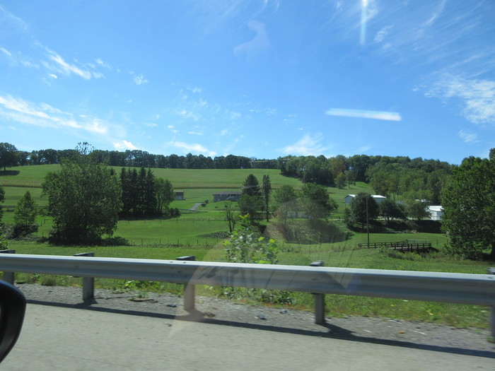 IMG_3182 (700x525, 87Kb)