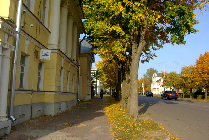 IMGP5420 (700x468, 538Kb)