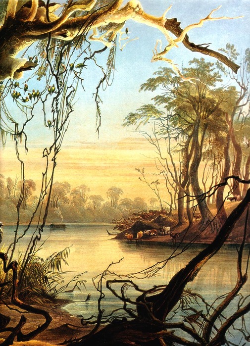 Художник Карл Бодмер.2 (505x700, 173Kb)