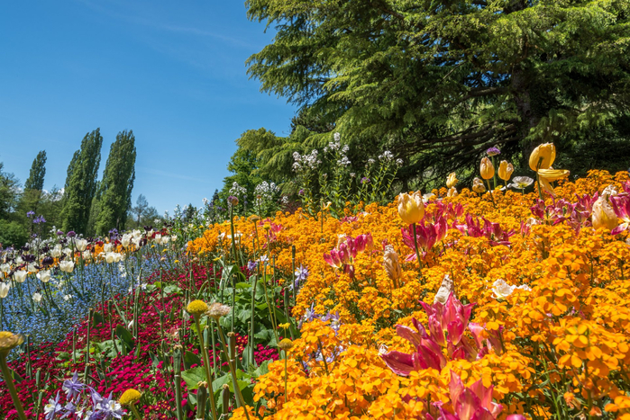 mainau-0082 (700x467, 577Kb)