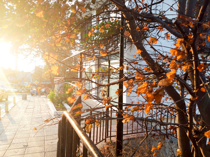 20200925_182557 (700x525, 638Kb)
