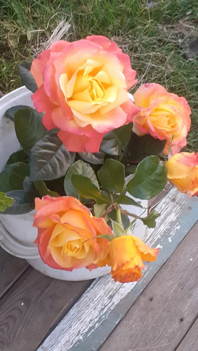 WhatsApp Image 2020-10-10 at 18.51.15 (2) (394x700, 289Kb)