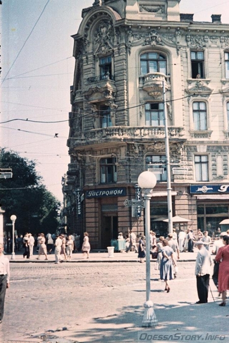 4432201_19756563_309149136201905_2366055449816455729_n (466x700, 264Kb)
