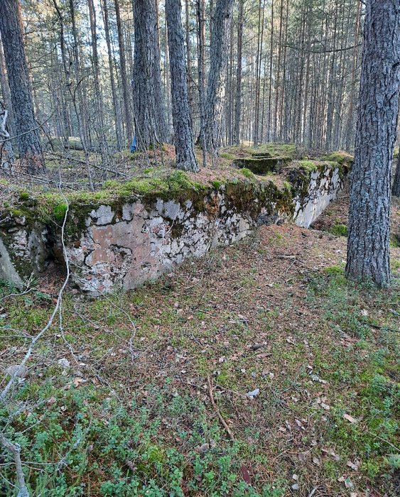 20201108_141835 (563x700, 698Kb)