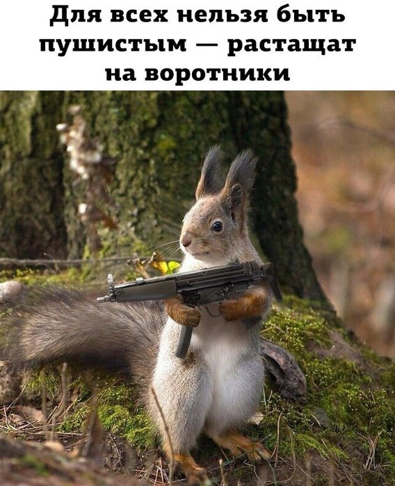 � (568x700, 105Kb)