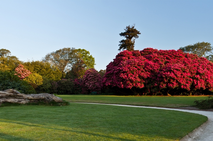 the-lost-gardens-of-heligan-cornwall-vegetable-garden_1250_827_s_c1 (700x463, 252Kb)