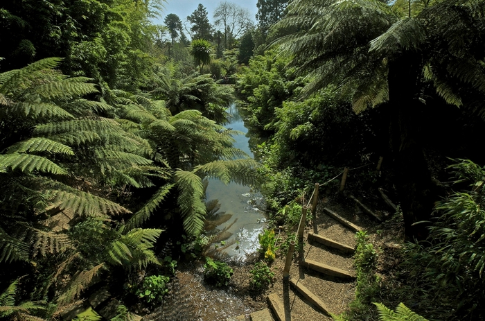 the-lost-gardens-of-heligan-cornwall-jungle-1_1250_827_s_c1 (700x463, 313Kb)