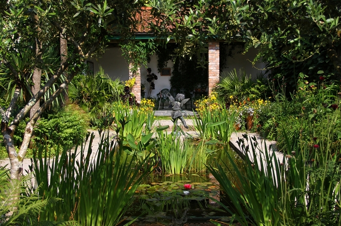 the-lost-gardens-of-heligan-cornwall-pleasure-gardens-1_1250_827_s_c1 (700x463, 348Kb)