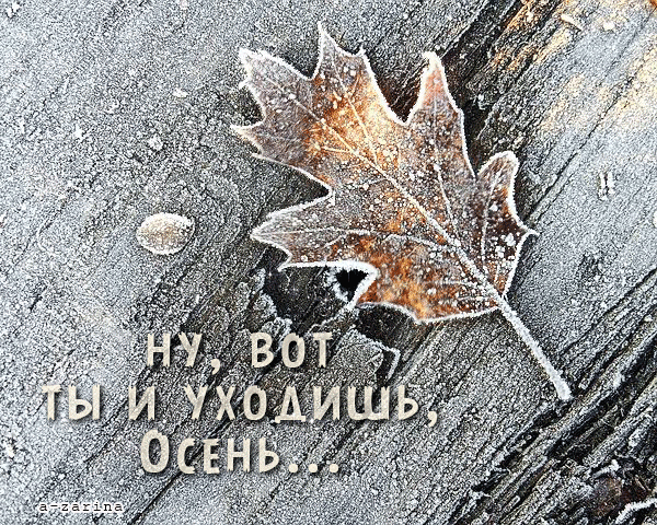 IMG_20201130_085820 (600x480, 1437Kb)