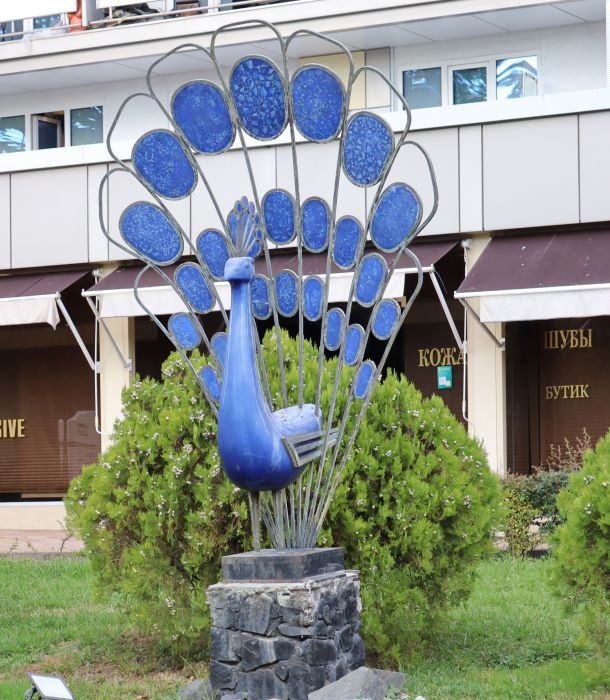 IMG_2012 (2) (610x700, 344Kb)