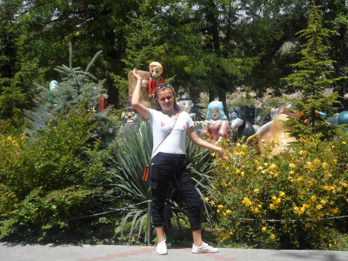 SAM_3764 (700x525, 535Kb)