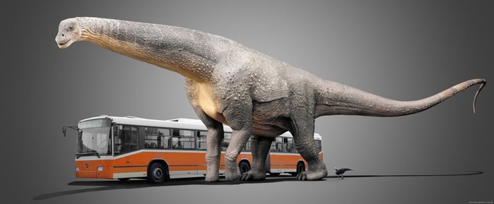 Пять самых маленьких и пять самых больших динозавров