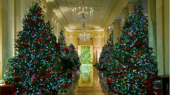 whitehouse-christmas-decorations (700x392, 112Kb)