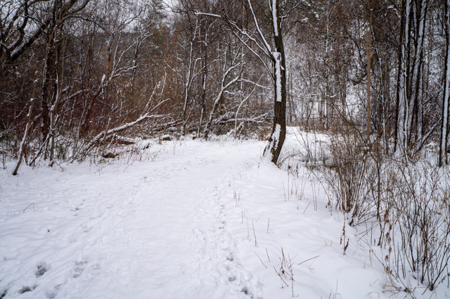 DSC04893 (640x425, 406Kb)