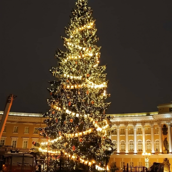 Новогодние елки для детей в спб