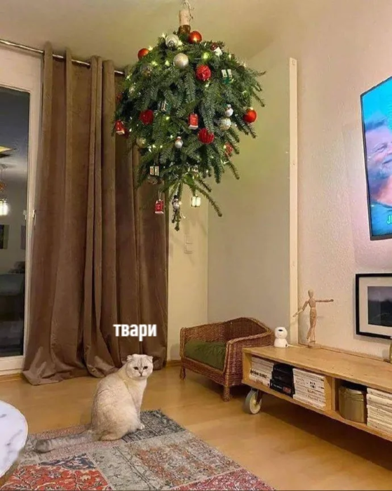 https://img1.liveinternet.ru/images/attach/d/3/154/480/154480531_imgpsh_775775.png