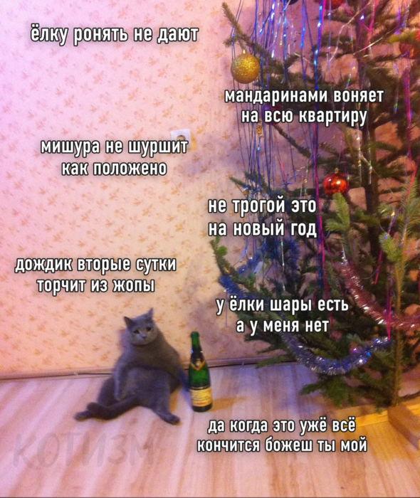https://img1.liveinternet.ru/images/attach/d/3/154/480/154480573_imgpsh_f7957.png