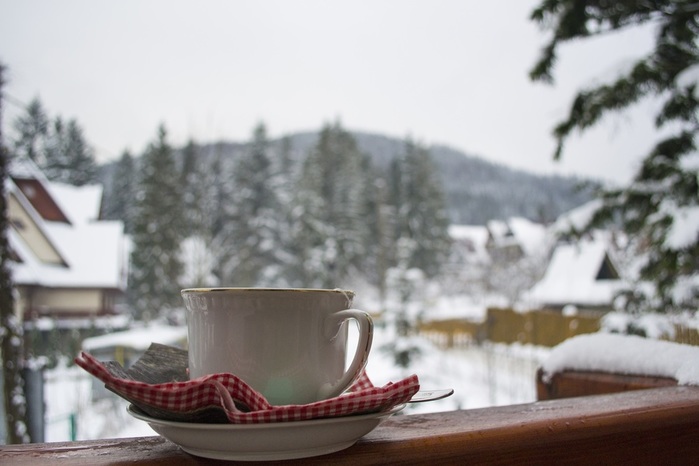 snow-winter-tea-morning-weather-drink-mug-season-teacup-relaxation-mountains-porcelain-buried-the-drink-1206006 (700x466, 75Kb)