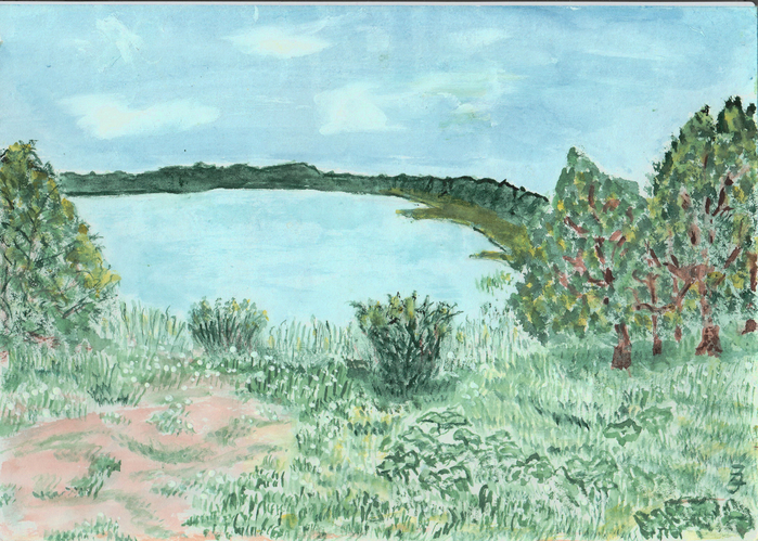Новгородская обл. Озеро Карабожа, дер.Столбово (700x499, 535Kb)