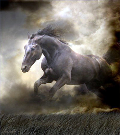 4c3d055ee81 (501x562, 175Kb)