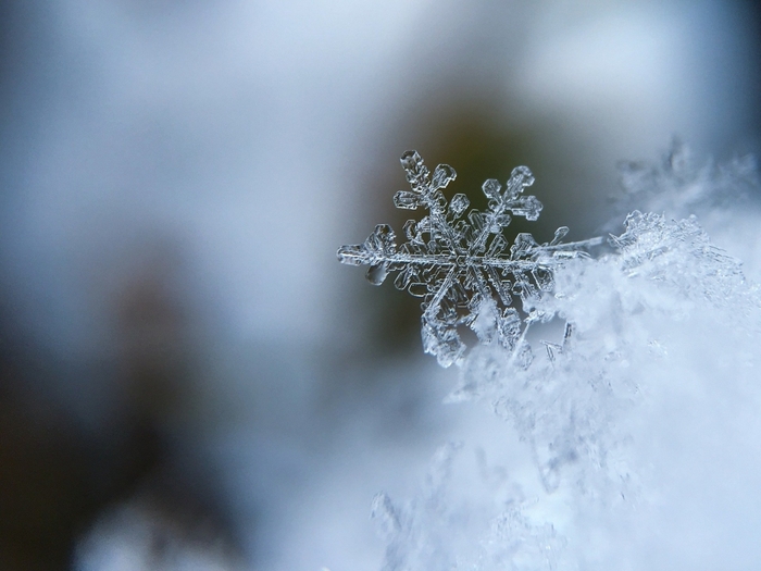 5987985_snowflake1245748_1920 (700x525, 202Kb)