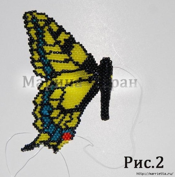 Бисер. Бабочка махаон или мозаичное плетение (13) (572x576, 212Kb)
