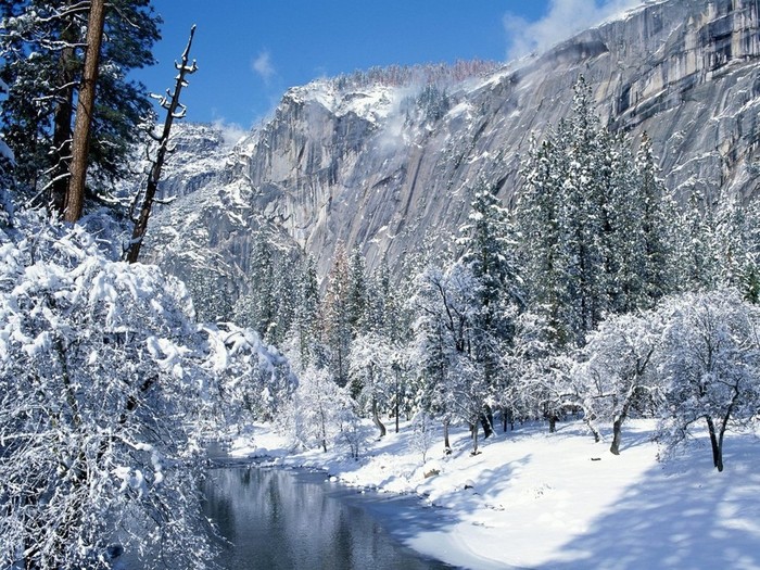 5aac04405930a928bd1d (700x525, 183Kb)