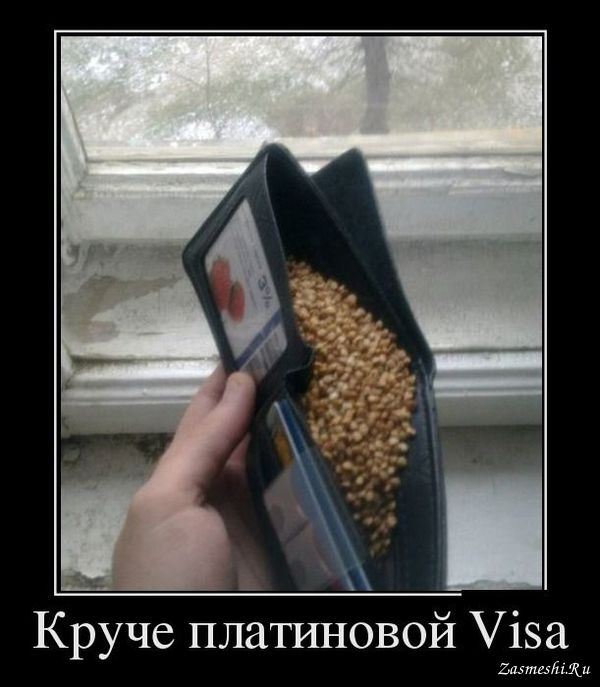 9064-Zolotaya-grechka (600x687, 49Kb)
