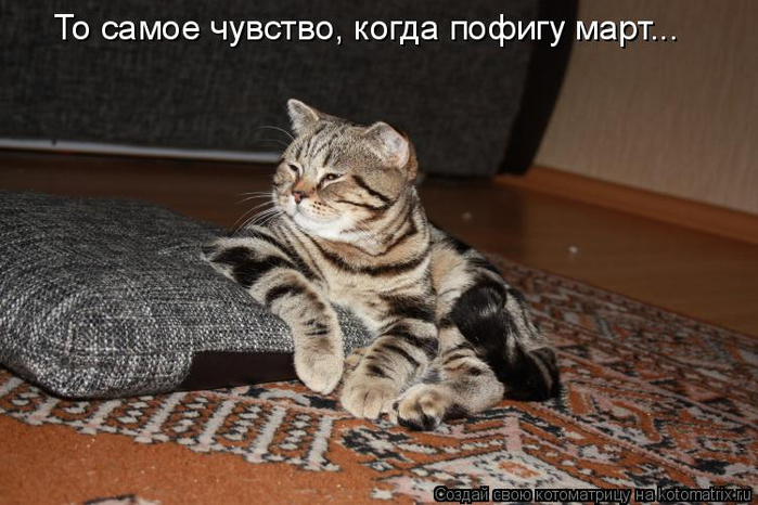 kotomatritsa_-6C (700x466, 295Kb)