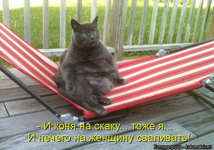 kotomatritsa_B7 (700x490, 403Kb)