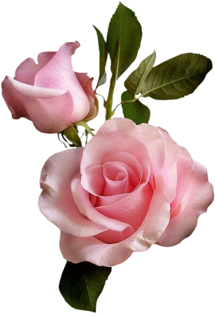 1_2_6_yapfiles.ru (436x642, 310Kb)